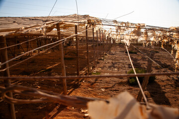 Invernaderos rotos Almer&iacute;a