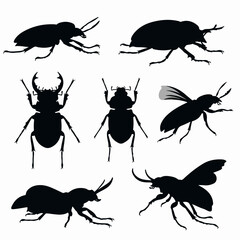 Beetle silhouette set, insect icon, various shapes