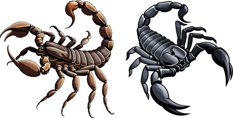 Scorpion vector.eps