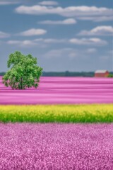 Obraz premium Vibrant Pink and Yellow Flower Field with Green Tree under Blue Sky