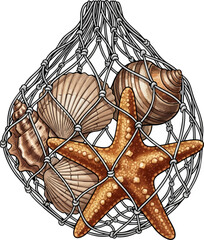 The Fishing Net with Shells