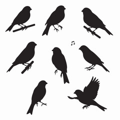 Sparrow silhouettes bird flying songbird wildlife nature