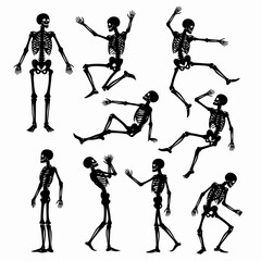 Obraz premium Skeletons in various poses against white background