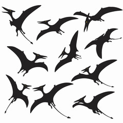 Pterodactyl silhouettes prehistoric flying reptile group © Sabiqul