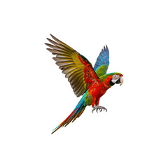 Fototapeta premium Colorful parrot in mid-flight representing tropical bird life and freedom