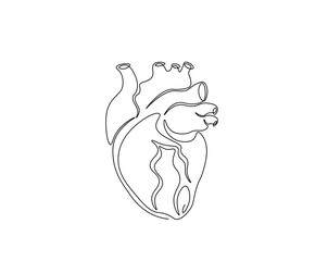Human heart organ outline drawing illustration. one continuous line drawing of heart.
