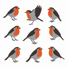 European robin birds collection in flat style