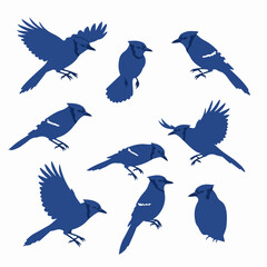 Blue jay bird silhouettes in different poses