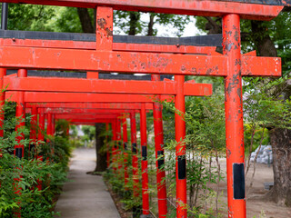錆びた古い鳥居