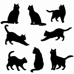 Various cat silhouette poses against a white backdrop