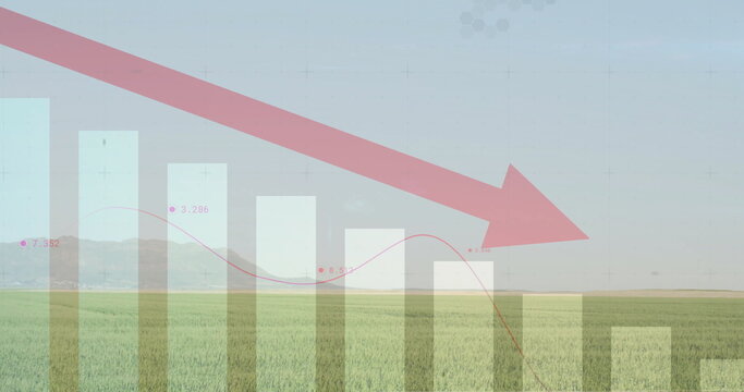 Displaying semi-transparent bar chart overlay over rural crop field, with falling red arrow trend
