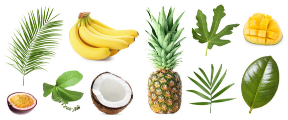 Tropical leaves and fruits isolated on white, set