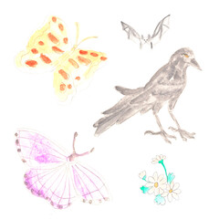 Flying animals, flight, wings. Watercolor set illustration, hand drawn modern freehand new