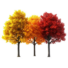 Vibrant autumn trees with yellow, orange, and red leaves against a clear background