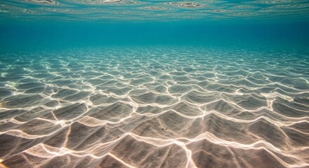 Stunning Underwater Scene Sunlight Dappling on Ocean Floor Sand