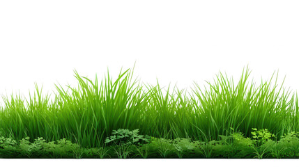 Green Lush Grass Background