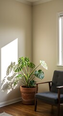 A stylish, sun-drenched interior corner featuring a large Monstera Deliciosa plant in a ceramic pot next to a modern, cozy armchair. Biophilic design aesthetic, bright and airy.