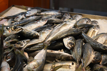 Fish stall at the market