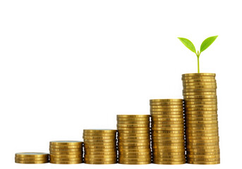 Stacks of golden coins with plant growing isolated on transparent background