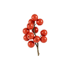 Red Cherry Branch with Festive Look