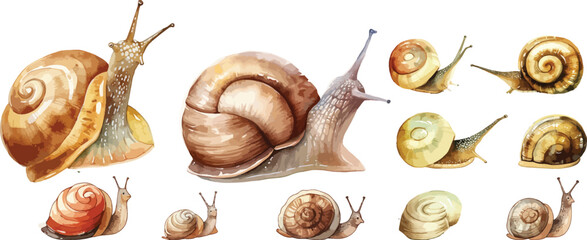 snail watercolor clipart | snail clipart for graphic resources