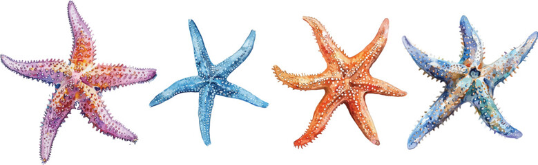 starfish watercolor clipart   starfish clipart for graphic resources © dian's