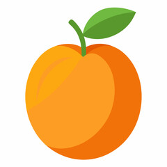 Apricot: Sweet Fruit

