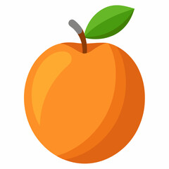 Apricot: Sweet Fruit

