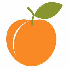 Apricot silhouette on white background