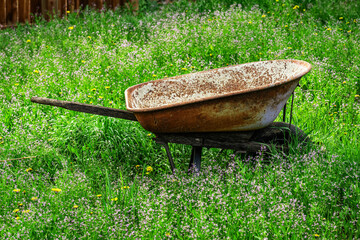 wheelbarrow in the grass