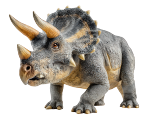 Detailed illustration of prehistoric dinosaur, showcasing its distinctive three horns and frilled head. This creature stands all fours, with textured skin and robust body, evoking sense of ancient