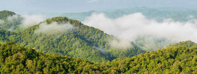 Banner Beautiful Mountain landscape foggy mountain green landscape morning sunrise. Amazing...