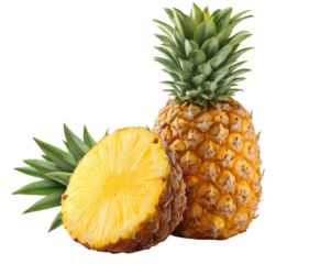 Juicy Pineapple Slices Isolated on transparent background Tropical Fruit  Delicious Sweet
