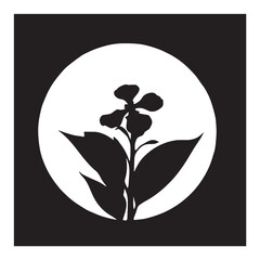 Silhouette of canna lily flower in a circular frame