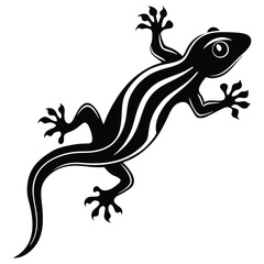 Lizard isolated on white background showing reptile wildlife silhouette with tail and natural details