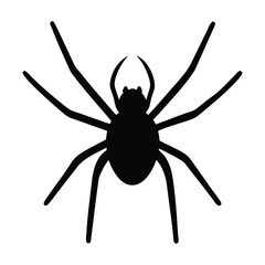 A black silhouette of a spider with a round body