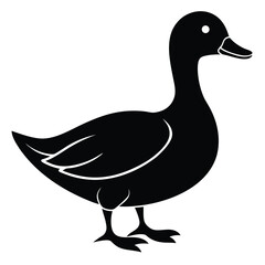 Cute duck illustration isolated on white background