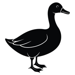Cute duck illustration isolated on white background