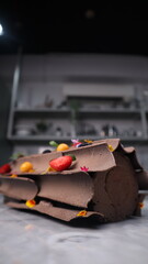 uncut chocolate roll cake topped with long chocolate chips and small fruits