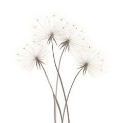 Highly detailed illustrations of various trees, leaves, grasses, and botanical elements, featuring realistic, minimalist, and abstract compositions on a white background.