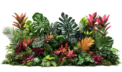 Highly detailed illustrations of various trees, leaves, grasses, and botanical elements, featuring realistic, minimalist, and abstract compositions on a white background.