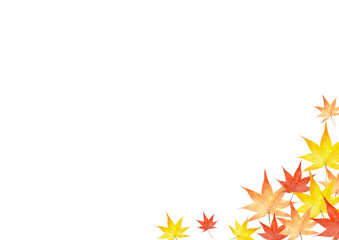 紅葉　モミジの葉　水彩　秋　イラスト