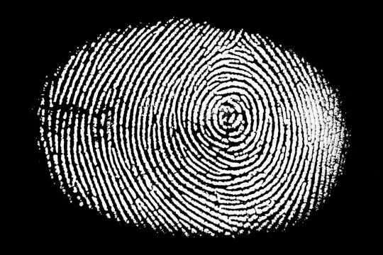 Close-up of a detailed black and white fingerprint with intricate ridges and whorls on a dark background, highlighting biometric pattern analysis