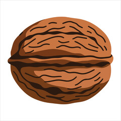Whole walnut with shell vector illustration cartoon flat design. Isolated on white background, ideal for food blogs and organic product labels.
