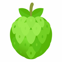 Cherimoya: Tropical Fruit

