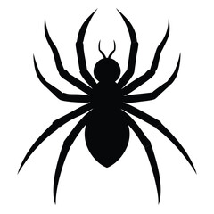 A striking illustration for a tattoo design features a black and white spider on a web, alongside a black and yellow flower, evoking a sense of arachnid danger and nature's intricate beauty