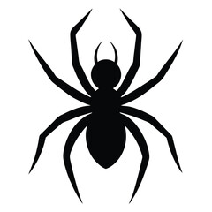 A striking illustration for a tattoo design features a black and white spider on a web, alongside a black and yellow flower, evoking a sense of arachnid danger and nature's intricate beauty