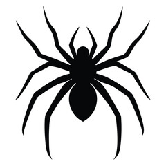 A striking illustration for a tattoo design features a black and white spider on a web, alongside a black and yellow flower, evoking a sense of arachnid danger and nature's intricate beauty