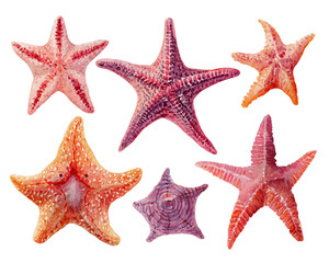 Colorful Starfish Collection on Transparent Background, PNG