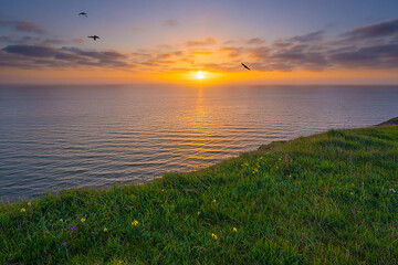 Sunset over the ocean from a grassy clifftop with birds in flight
